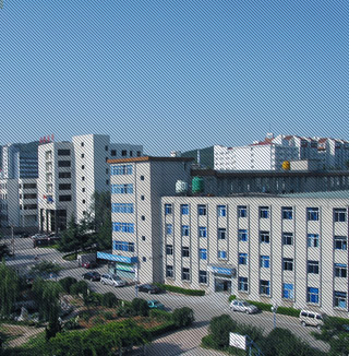 ���δ�ҵ��