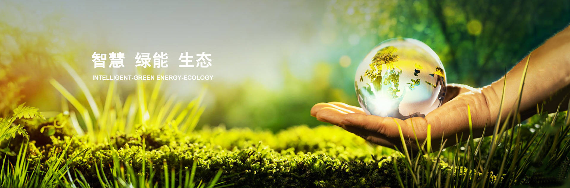 KU��������(�й���)�ٷ���վ